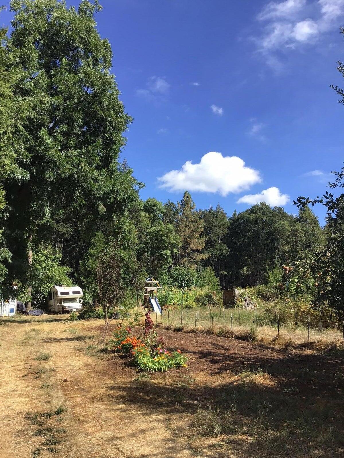 200 Humphrey Addition Road Glendale, OR 97442 - Photo 20 of 21 20241004210314423080000000-o-1