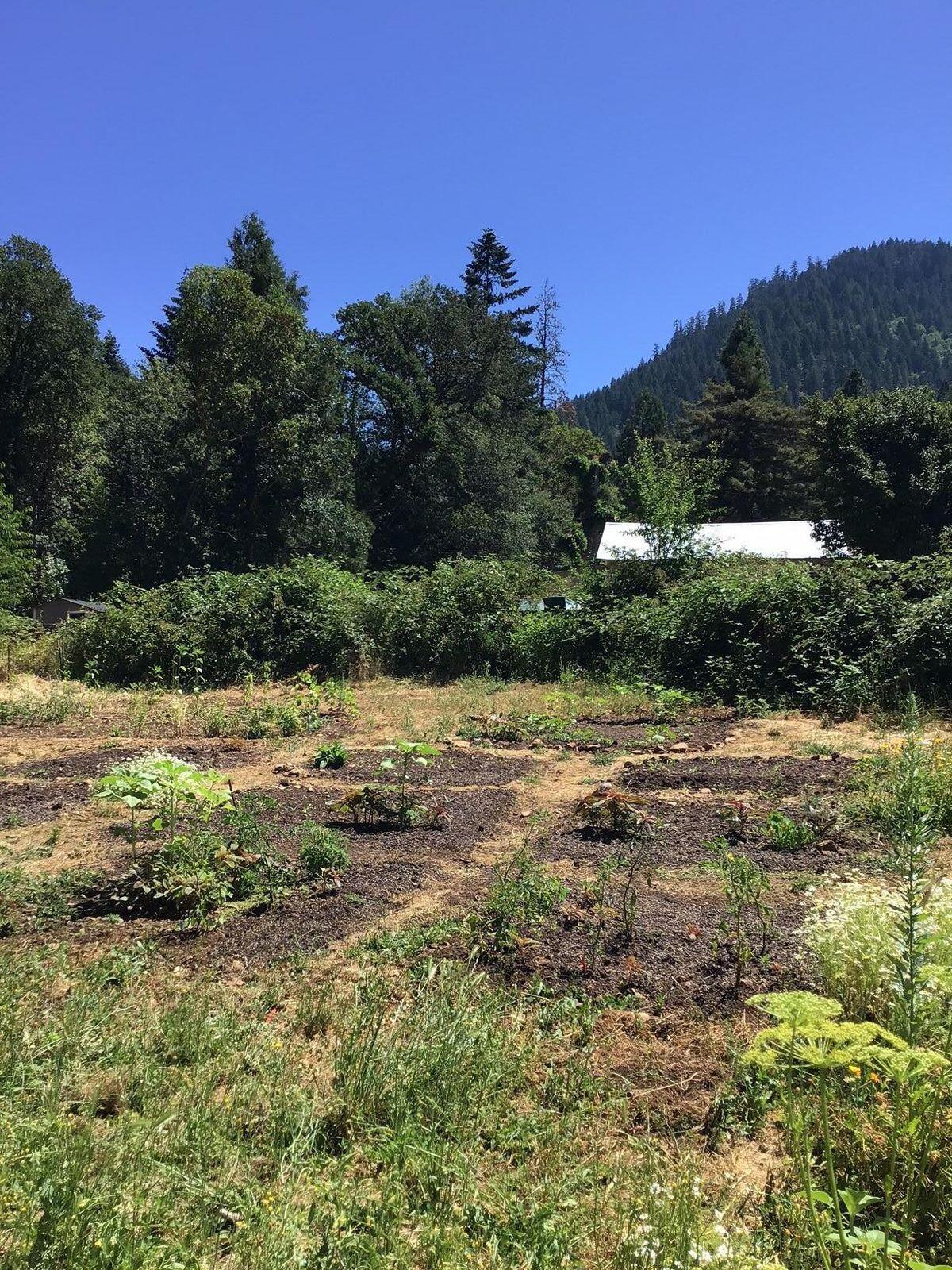 200 Humphrey Addition Road Glendale, OR 97442 - Photo 3 of 21 20241004210301392160000000-o