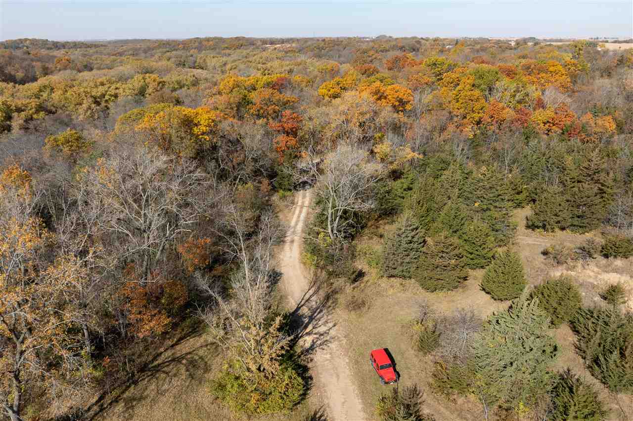 5652 Dix Road Coggon, IA 52218 - Photo 16 of 40 Gallery Image 16