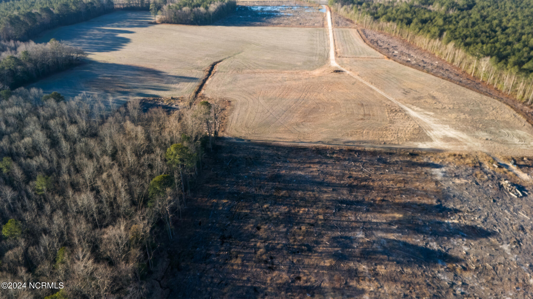 0 Smith Road Gates, NC 27937 - Photo 16 of 22 69 Acres Smith Rd-16