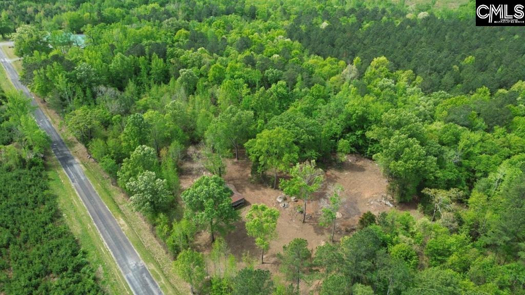 Beulah Road Leesville, SC 29070 - Photo 2 of 19