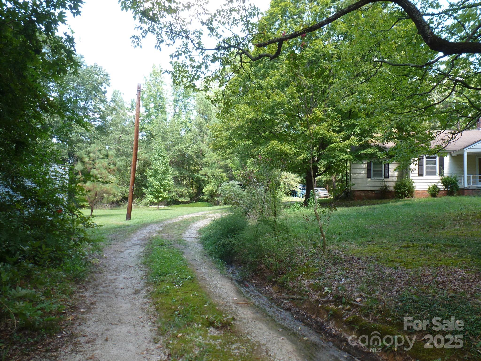 1007 Old Thompson Avenue Lancaster, SC 29720 - Photo 3 of 3 a view of a yard with plants and trees