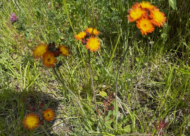 $120,000 | Lot 20.1 Smokehouse Road, Lubec, ME 04652