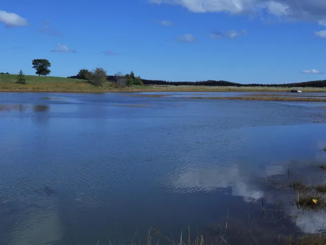 $120,000 | Lot 20.1 Smokehouse Road, Lubec, ME 04652