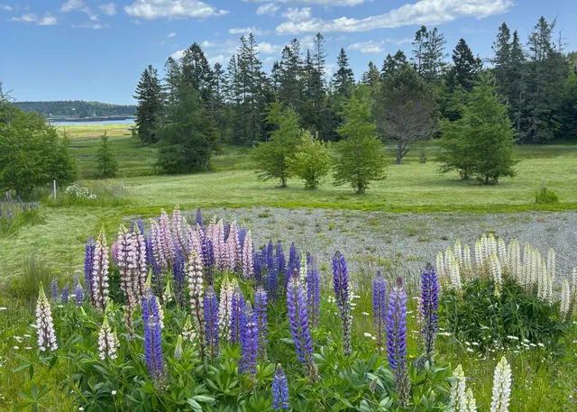 $120,000 | Lot 20.1 Smokehouse Road, Lubec, ME 04652