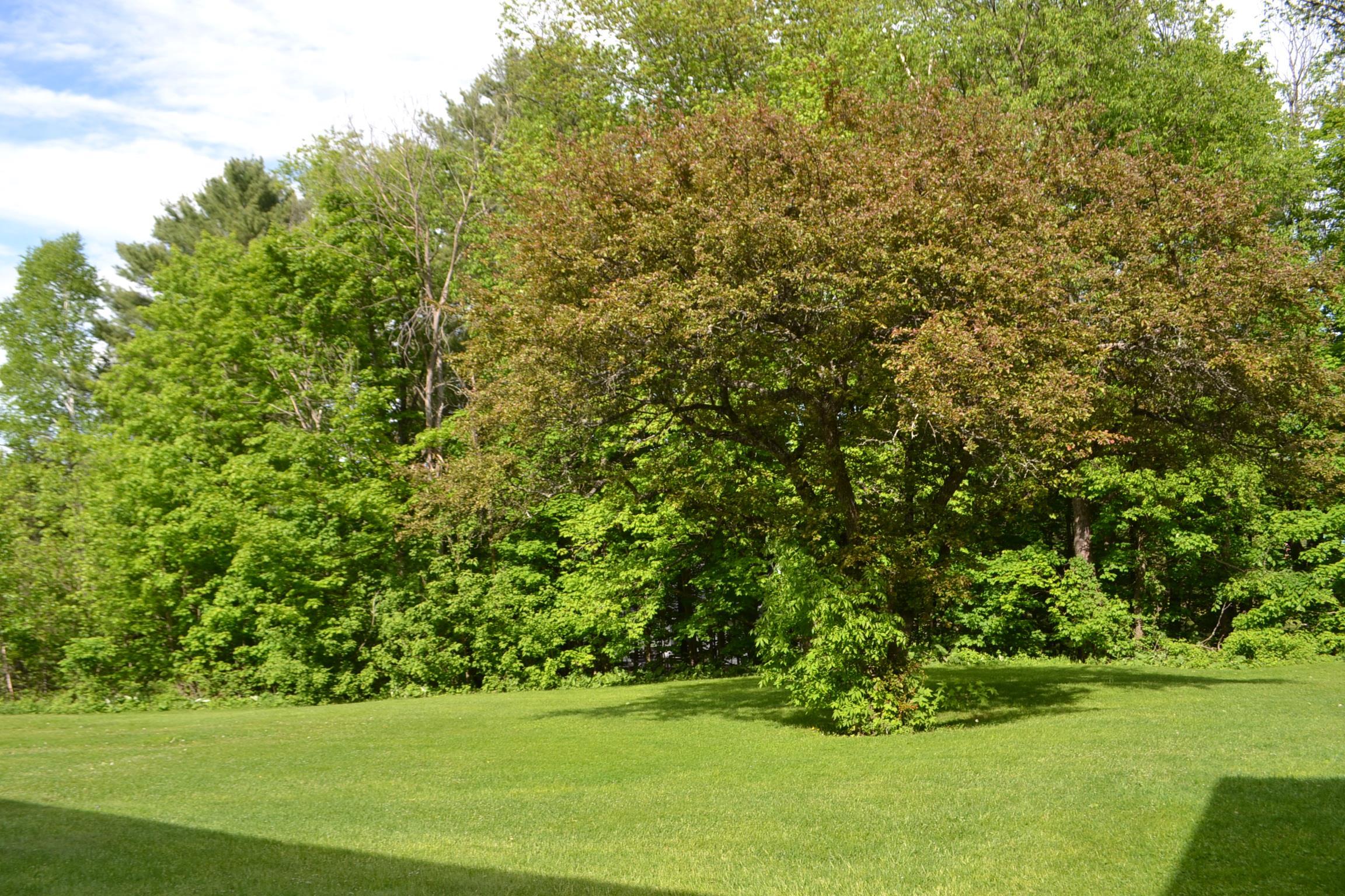 69 Crabapple Ridge Road Williamstown, VT 05679 - Photo 32 of 35
