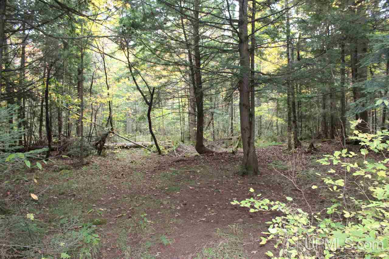 495 Johnson Road Wakefield, MI 49968 - Photo 25 of 34