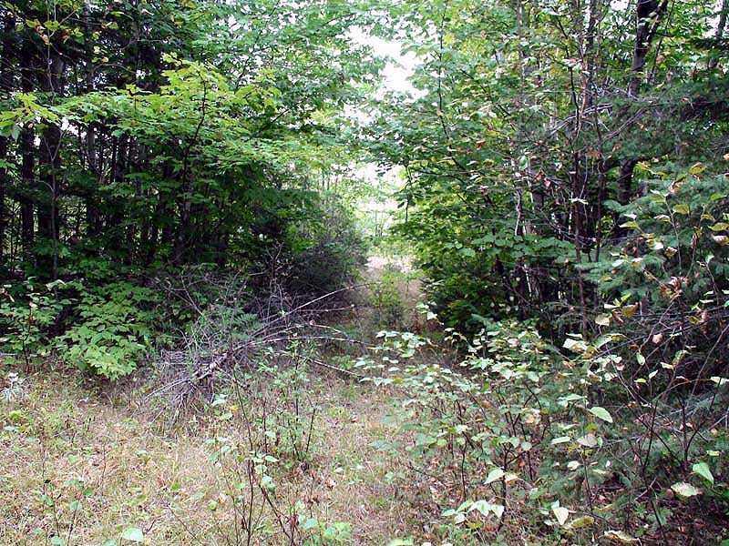 Lot 13 Frenchville Road Patten, ME 04765 - Photo 16 of 23 Land.