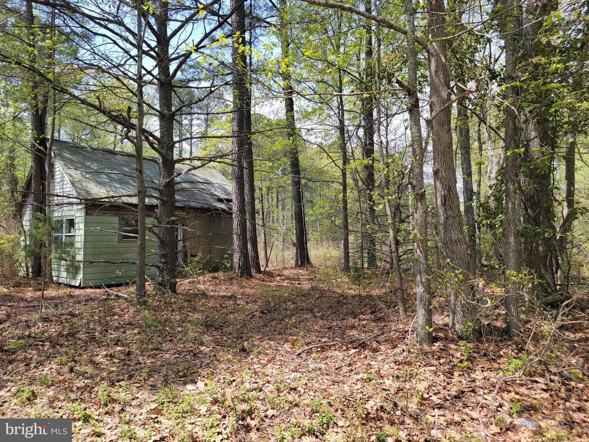 11800 Point Lookout Road Scotland, MD 20687 - Photo 6 of 7 a backyard of a house with lots of green space