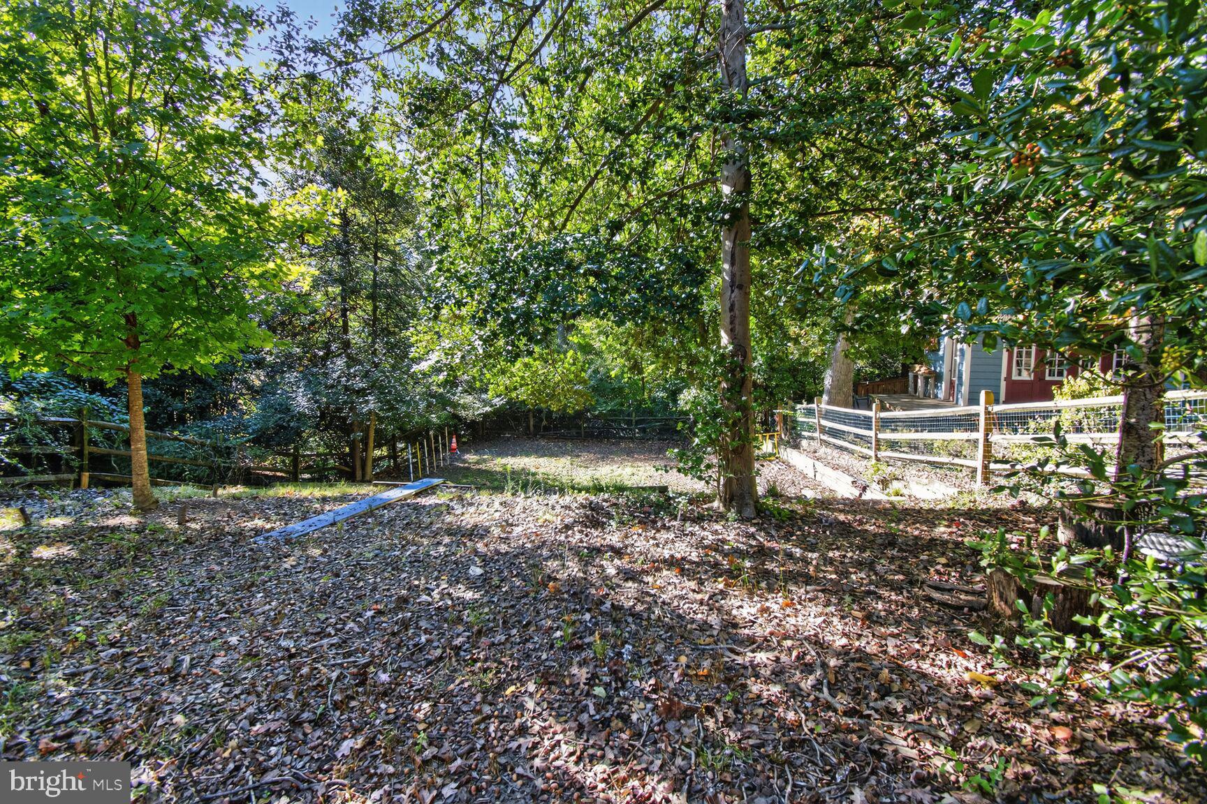 14 Cleveland Avenue Takoma Park, MD 20912 - Photo 36 of 41 a backyard of a house with lots of green space