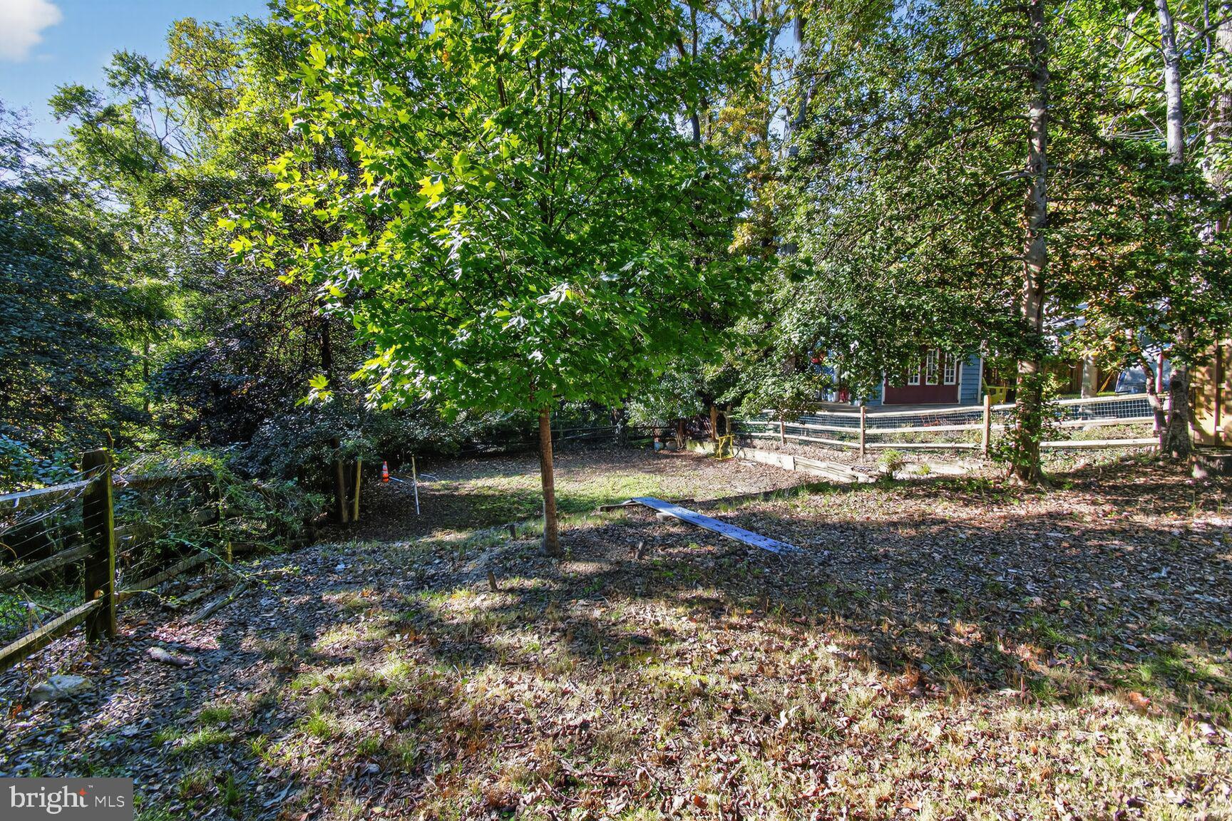 14 Cleveland Avenue Takoma Park, MD 20912 - Photo 37 of 41 a backyard of a house with lots of plants and tree