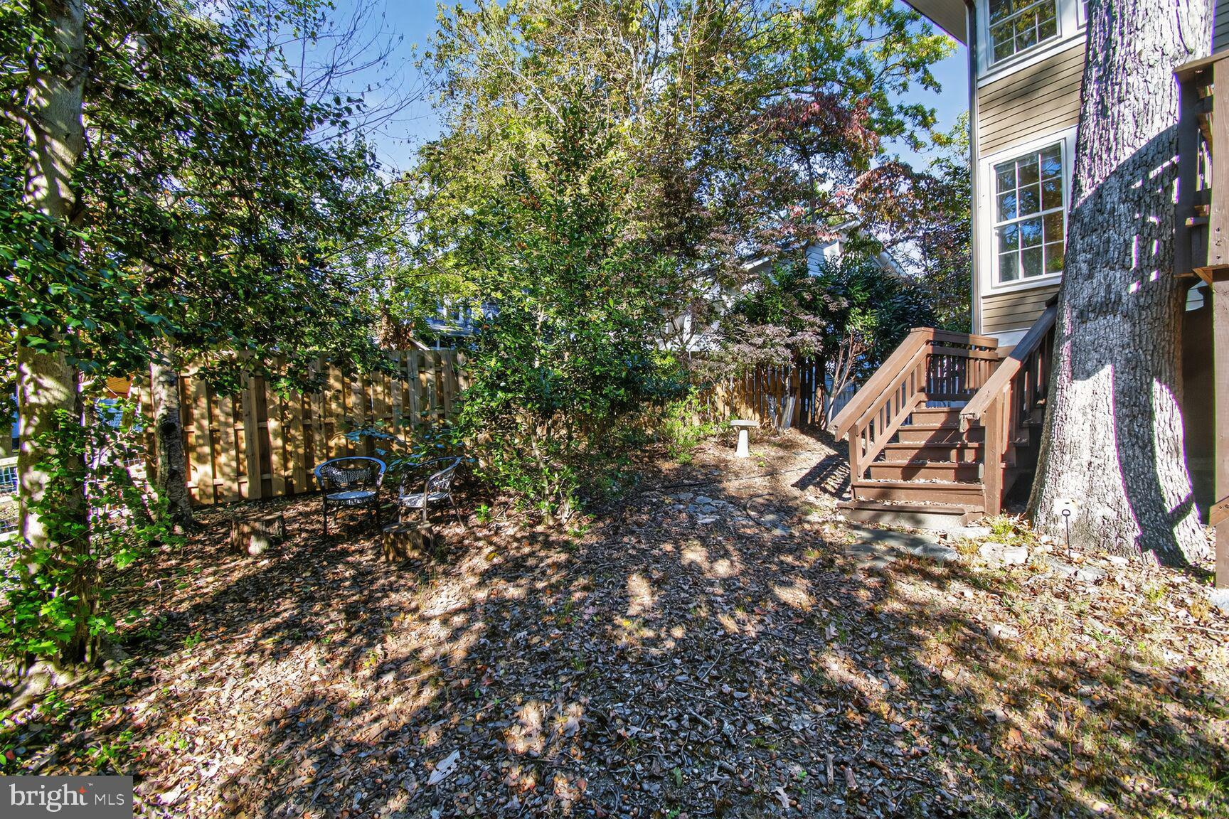 14 Cleveland Avenue Takoma Park, MD 20912 - Photo 38 of 41 a view of a yard with a tree