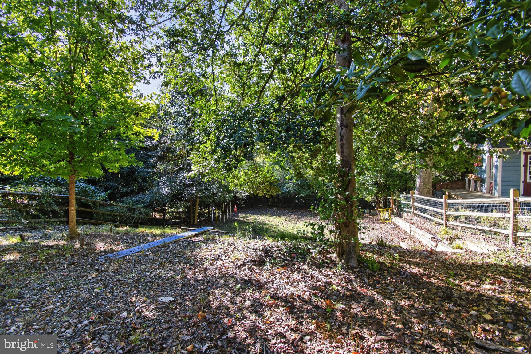 14 Cleveland Avenue Takoma Park, MD 20912 - Photo 39 of 41 a backyard of a house with lots of green space