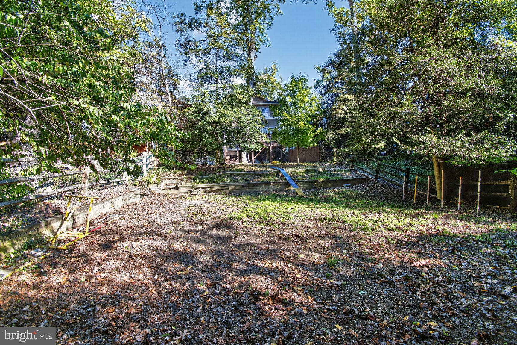 14 Cleveland Avenue Takoma Park, MD 20912 - Photo 40 of 41 a backyard of a house with lots of green space