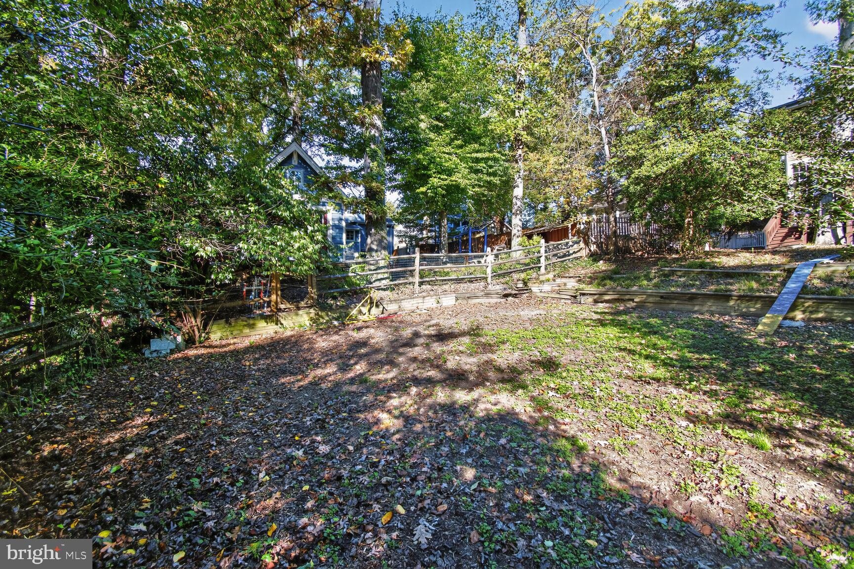 14 Cleveland Avenue Takoma Park, MD 20912 - Photo 41 of 41 a backyard of a house with lots of green space
