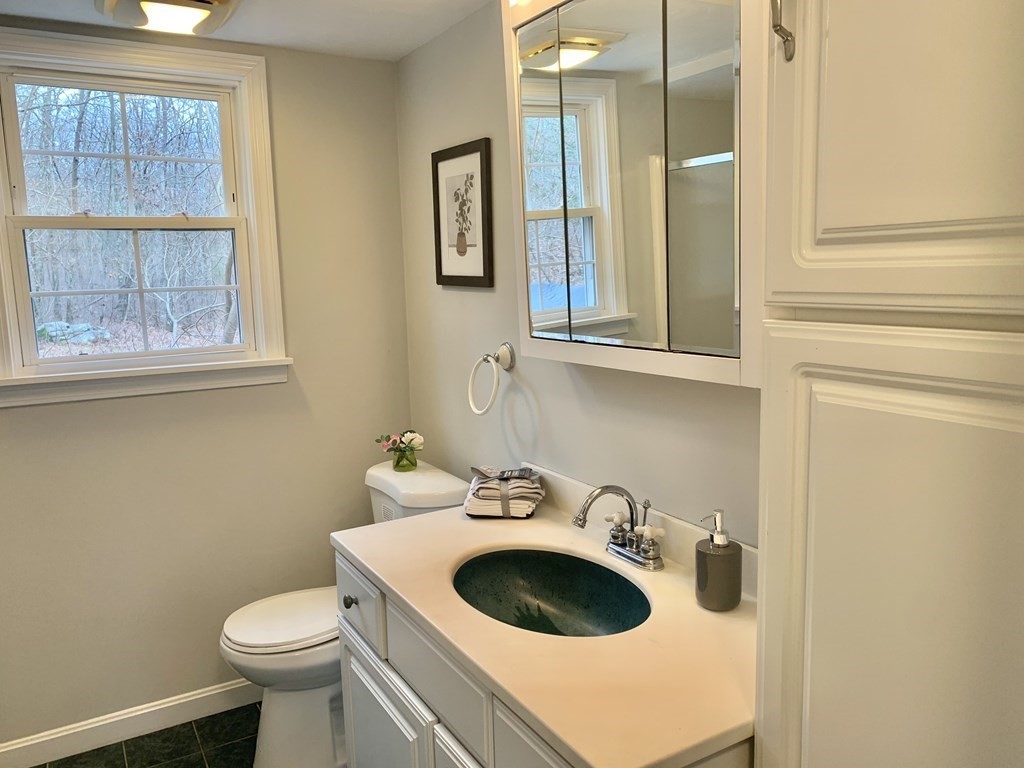 76 Old Douglas Road Webster, MA 01570 - Photo 16 of 22 a bathroom with a sink and a toilet