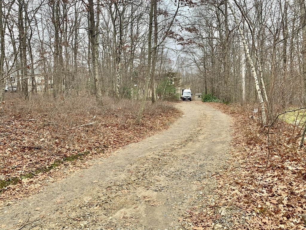 76 Old Douglas Road Webster, MA 01570 - Photo 20 of 22 a view of a yard with trees