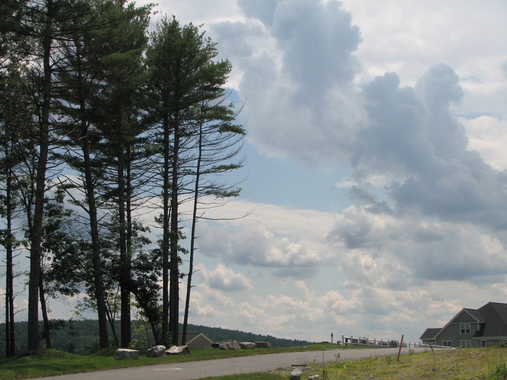 3 C Trail Ridge Way, Unit 7 Harvard, MA 01451 - Photo 5 of 30 a view of a yard with an trees