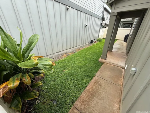 a backyard with plants