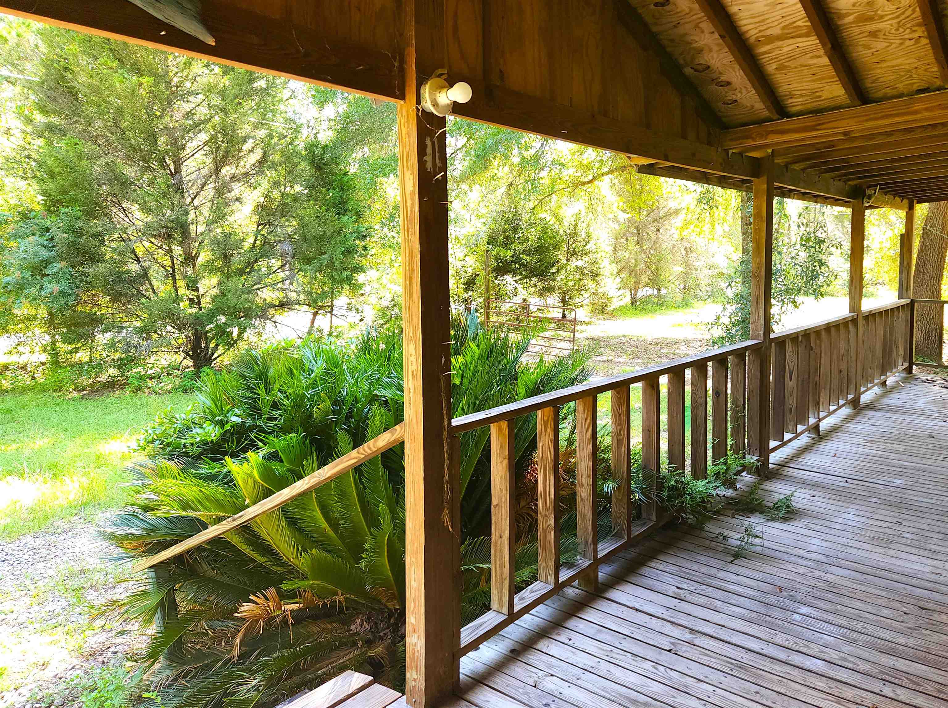 2310 Delmar Road Tallahassee, FL 32305 - Photo 18 of 26 Gallery Image 18