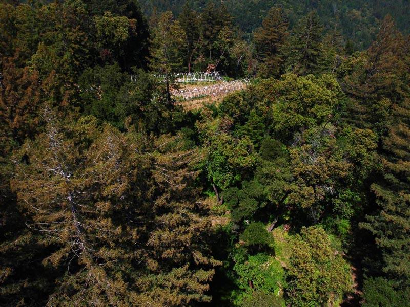 0 Ramble Road Boulder Creek, CA 95006 - Photo 3 of 6 Gallery Image 3