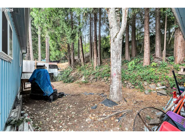 a view of outdoor space yard and patio