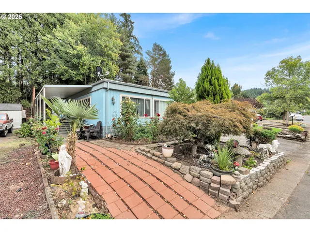 a view of a backyard with plants and a patio