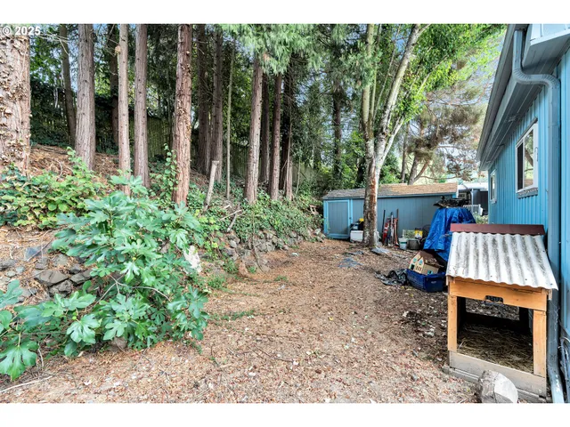 a view of outdoor space yard and patio