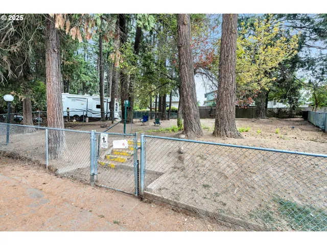 a view of a backyard with large trees
