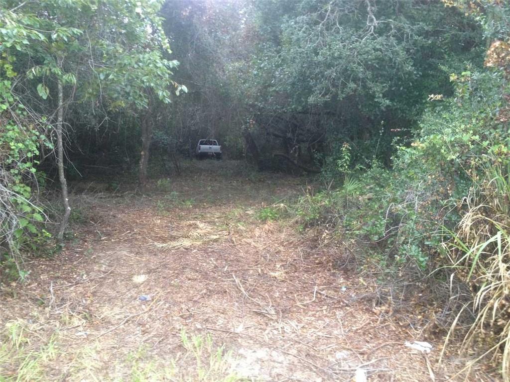 3400 Arcadia Road Punta Gorda, FL 33982 - Photo 1 of 1 a view of a forest