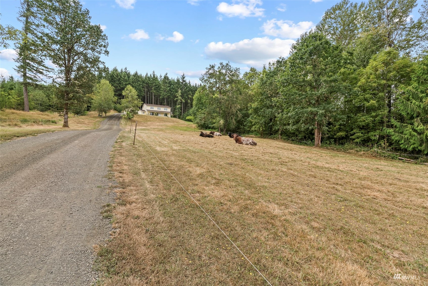 658 Smokey Valley Road Toledo, WA 98591 - Photo 35 of 40 a view of a road with trees