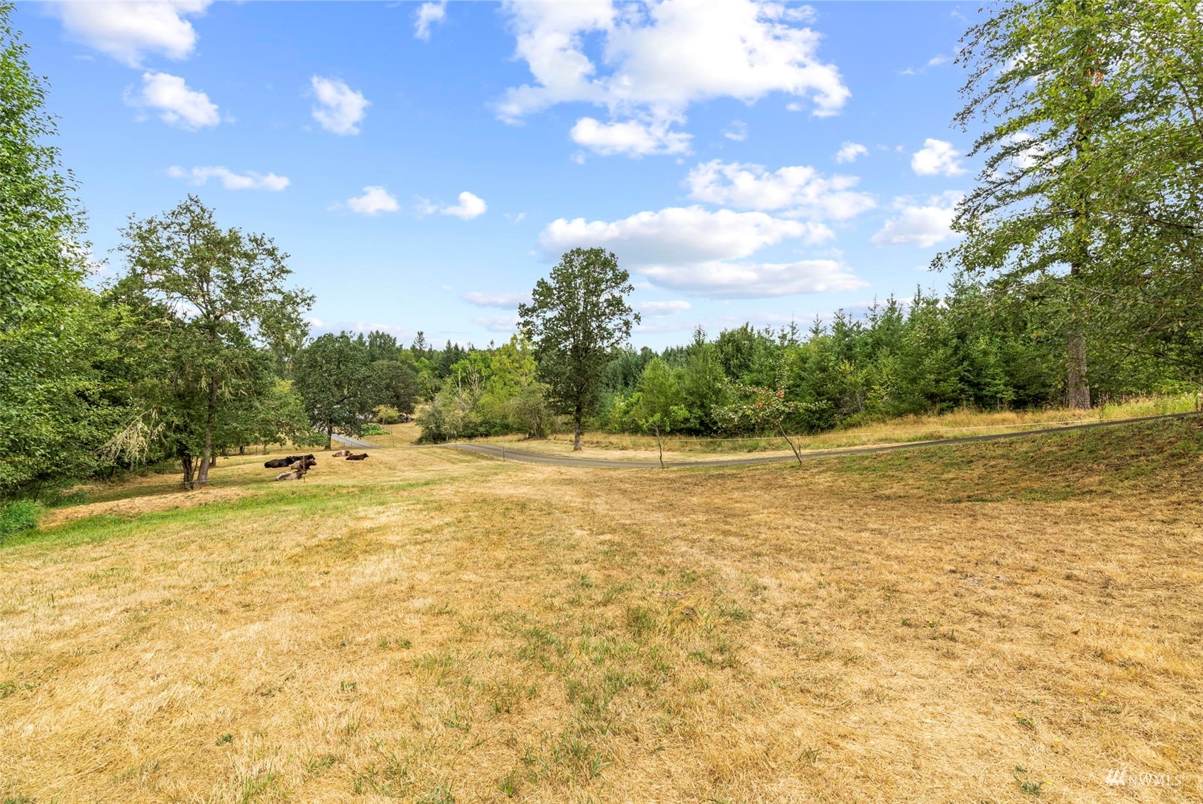 658 Smokey Valley Road Toledo, WA 98591 - Photo 36 of 40 a view of a lake view
