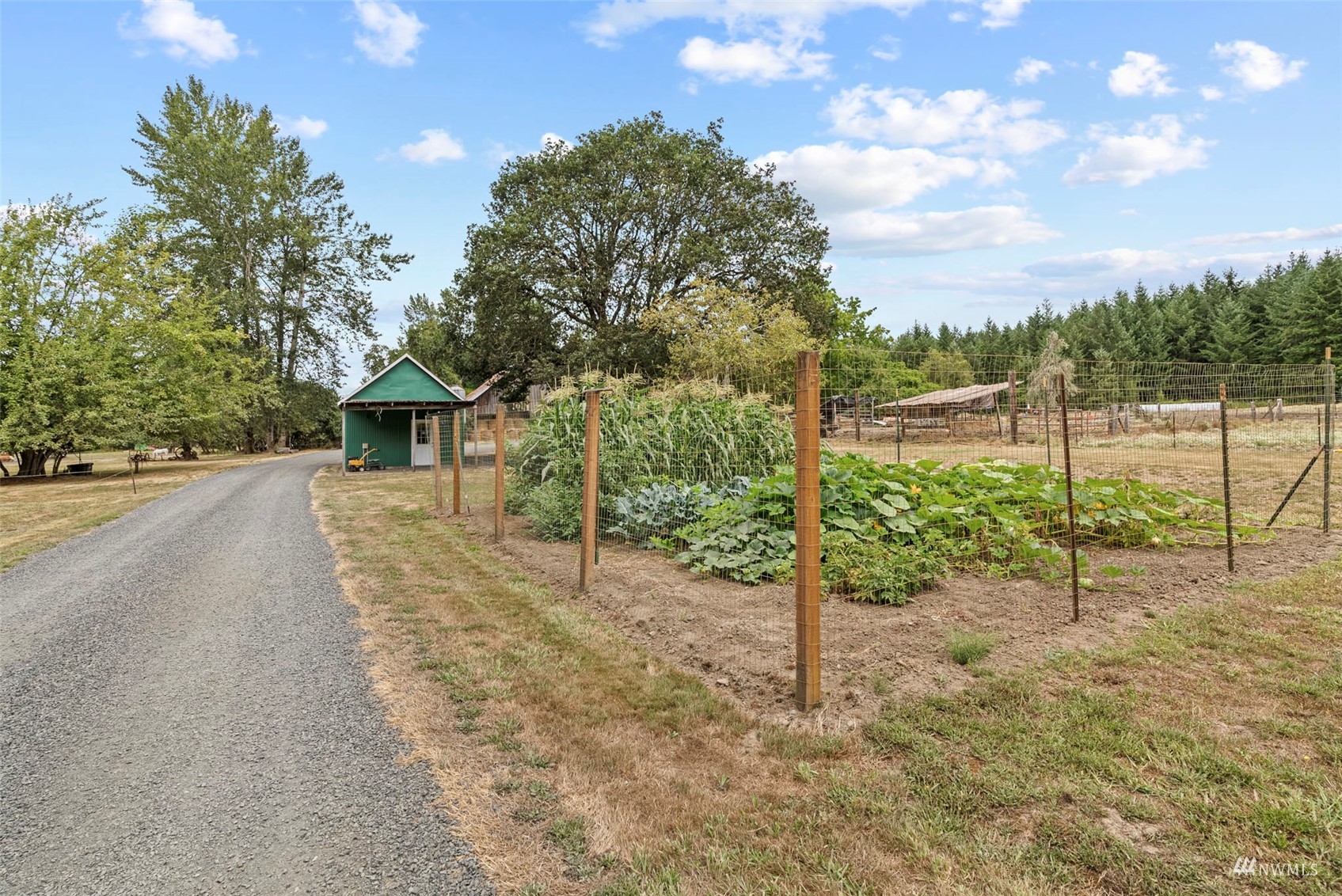 658 Smokey Valley Road Toledo, WA 98591 - Photo 37 of 40 a view of a house with a backyard and trees
