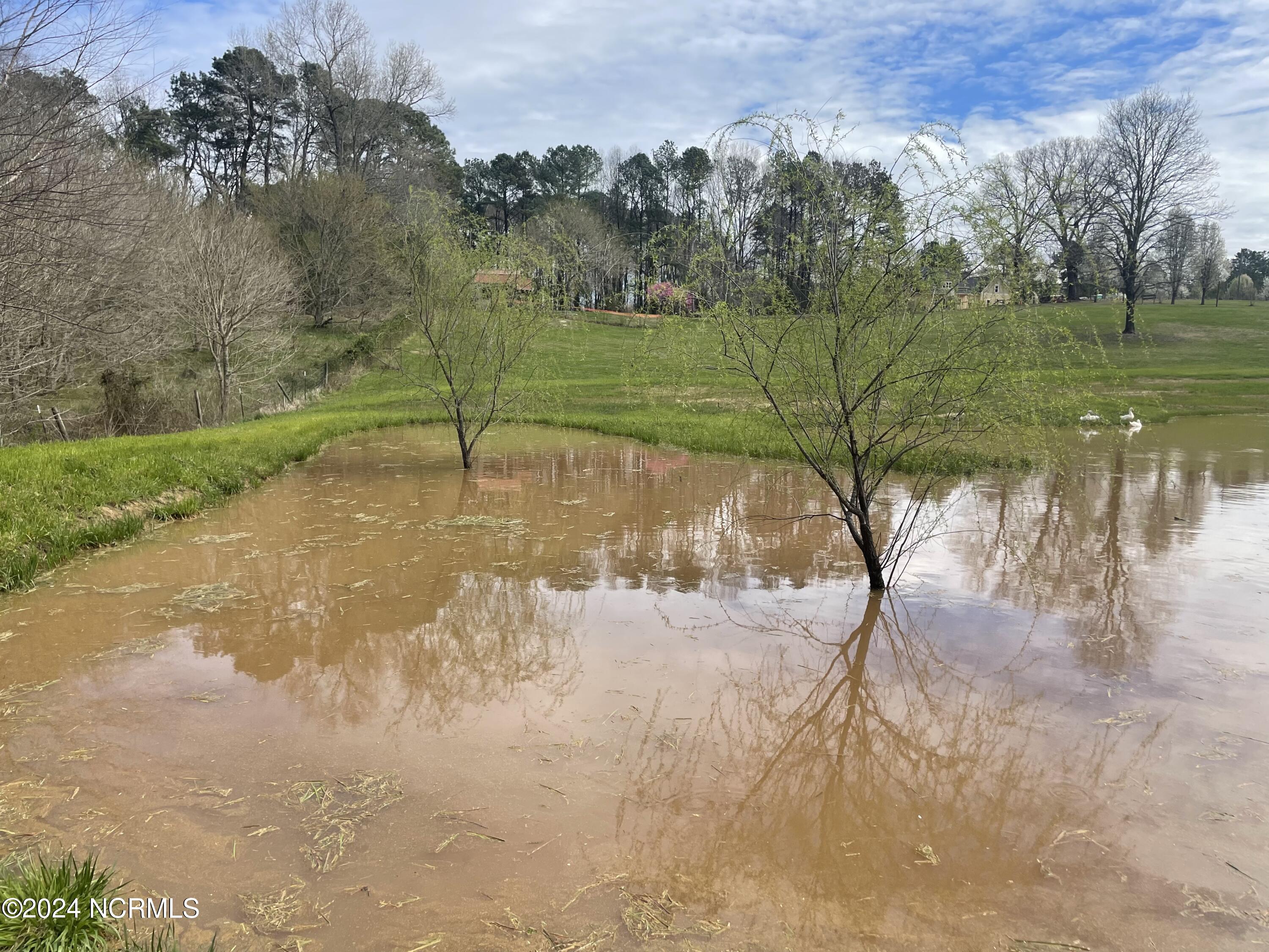 460 Jones Chapel Road Norlina, NC 27563 - Photo 61 of 63 Pic of pond