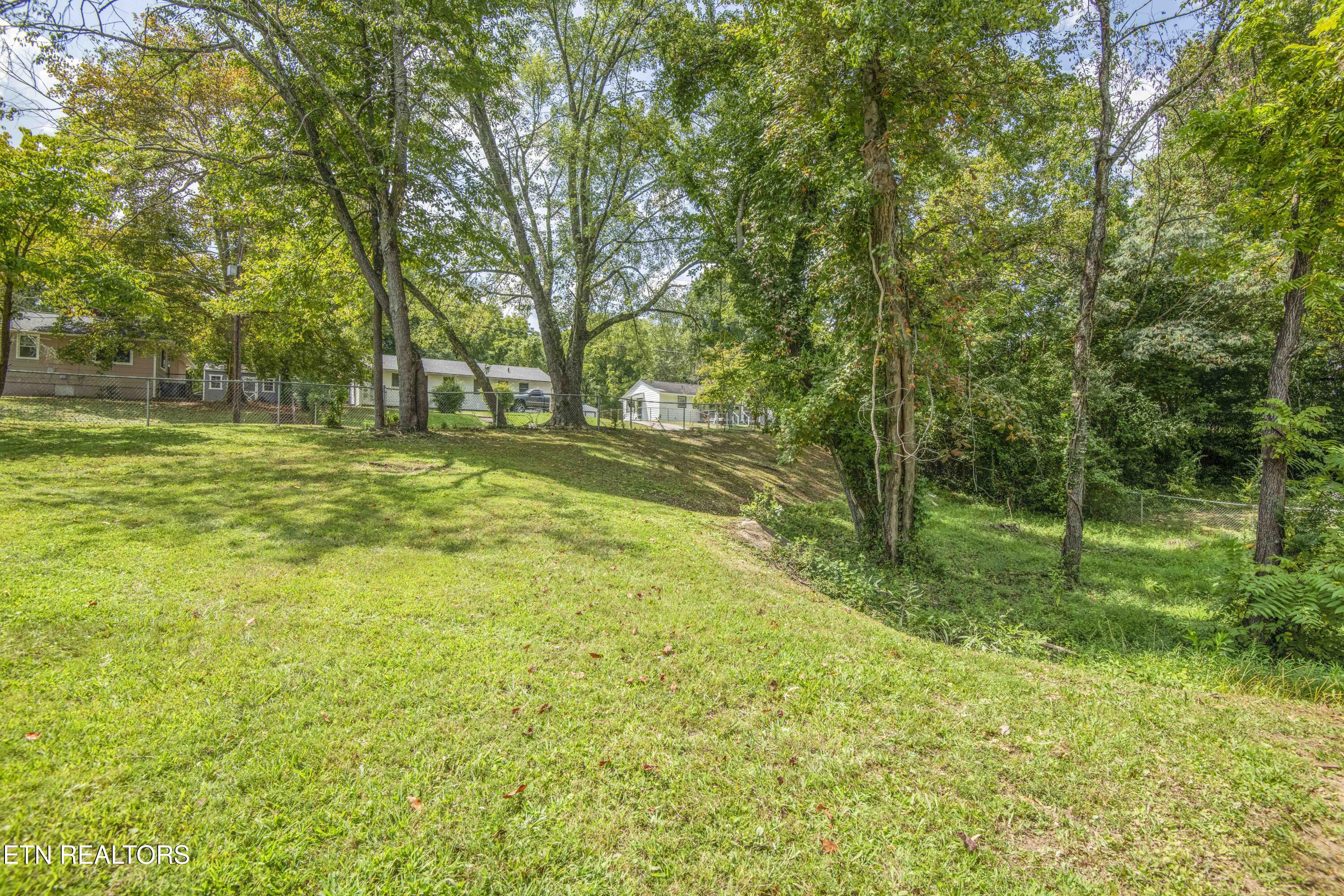 237 South Dillard Avenue Oak Ridge, TN 37830 - Photo 7 of 36 yard 6_1
