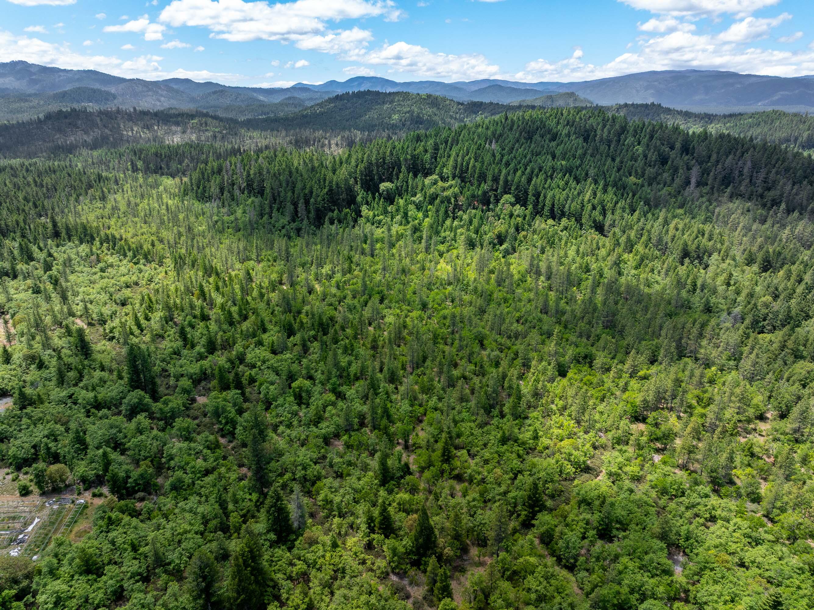 525 Sherier Road Cave Junction, OR 97523 - Photo 14 of 20 DRONE (5 of 9)