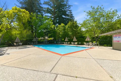 a view of backyard and parking