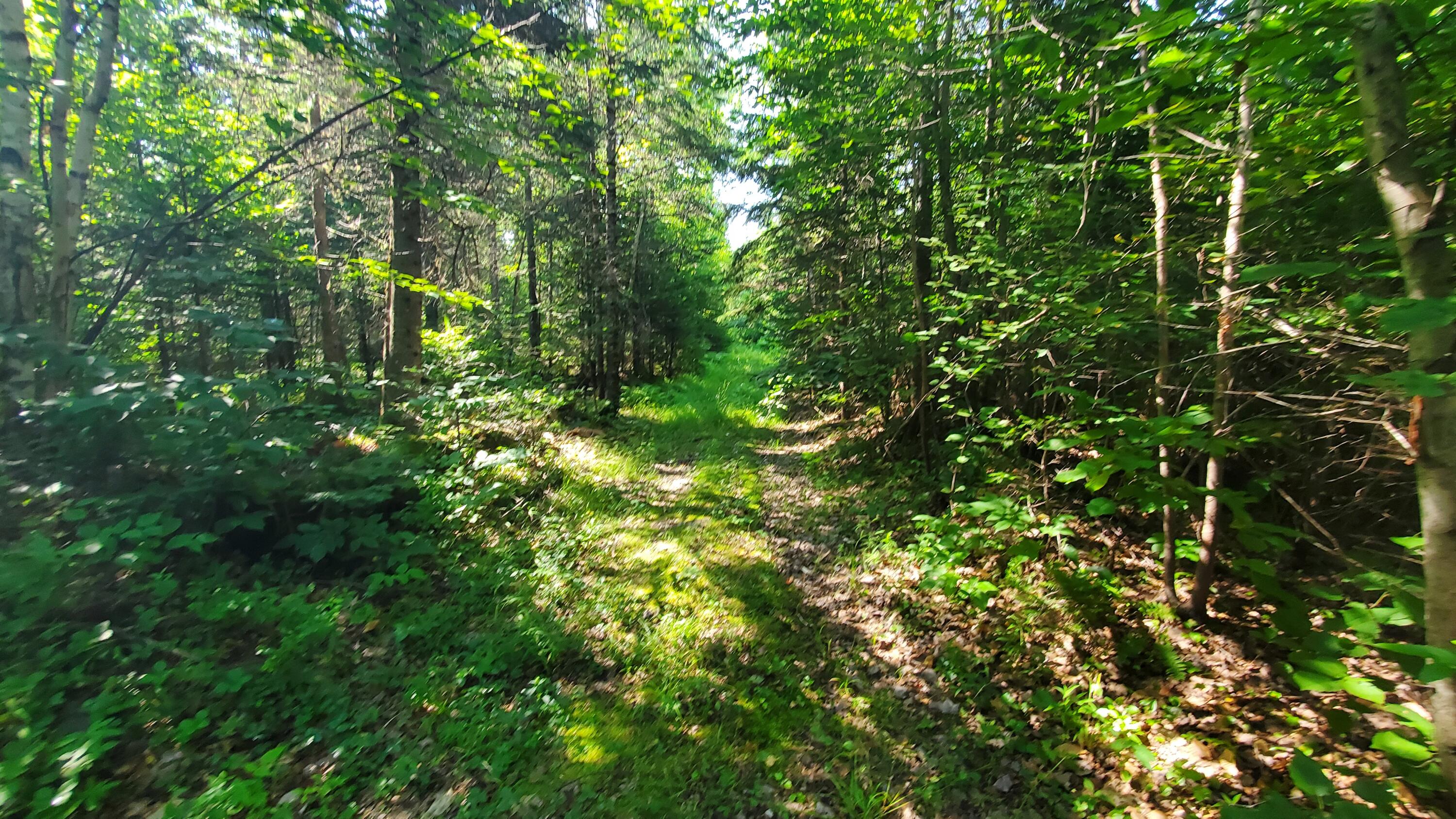 202 Lower Cross Road Hudson, ME 04449 - Photo 19 of 44 20240717_093907