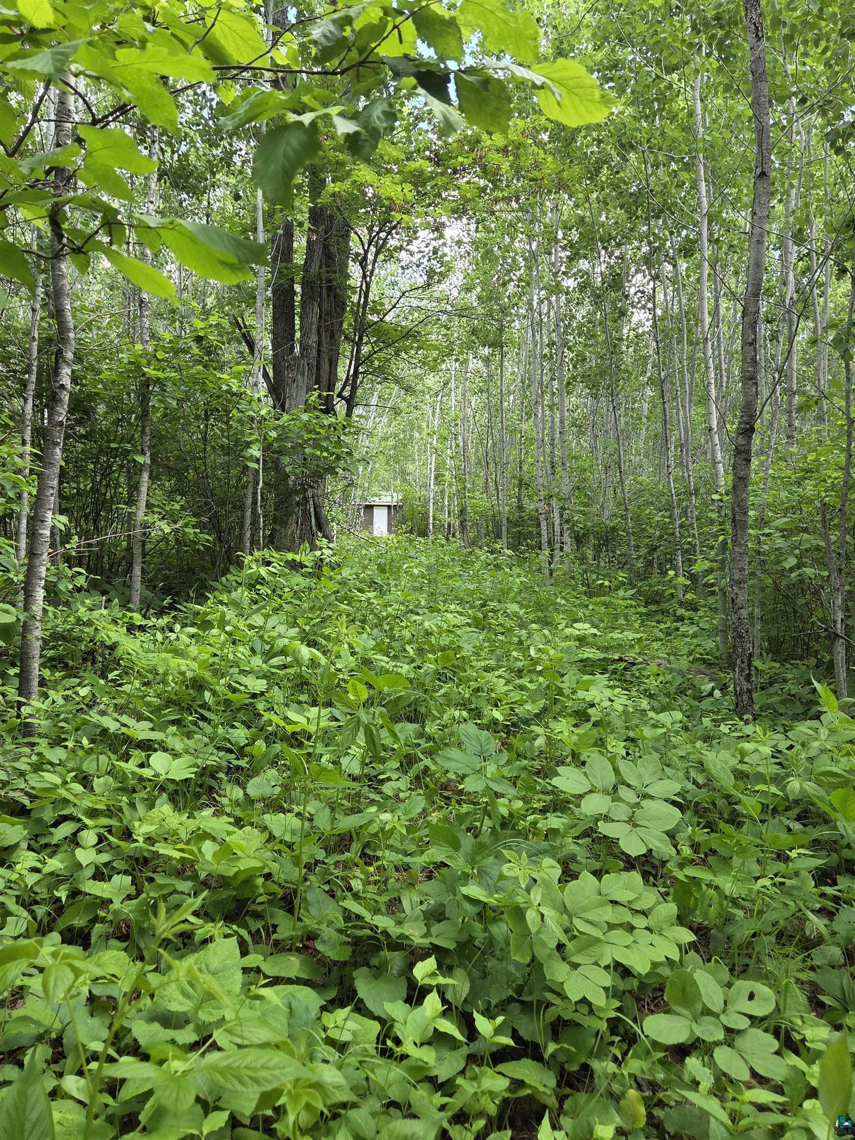 Xxx M T Nelson Road Mahtowa, MN 55707 - Photo 5 of 19