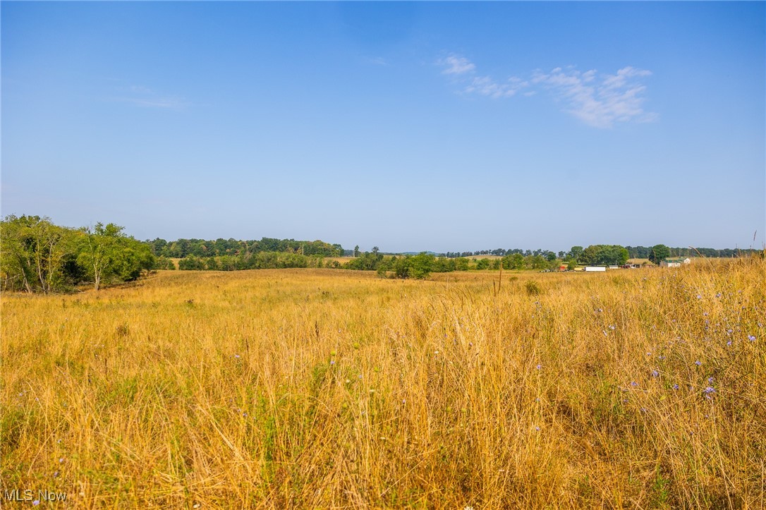 Lewis Road Salineville, OH 43945 - Photo 4 of 14 View of local wilderness featuring rural landscape