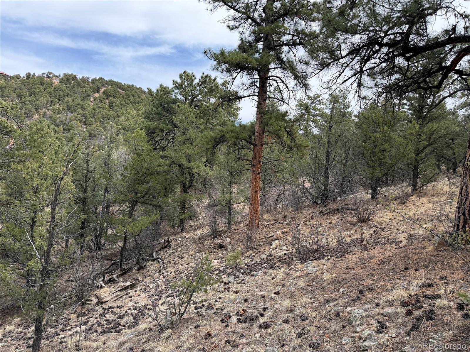672 Coyote Run Road Cotopaxi, CO 81223 - Photo 20 of 26