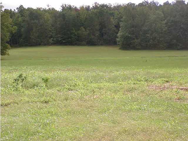6699 Nat Rogers Road Boston, KY 40107 - Photo 3 of 16 Additional Photo