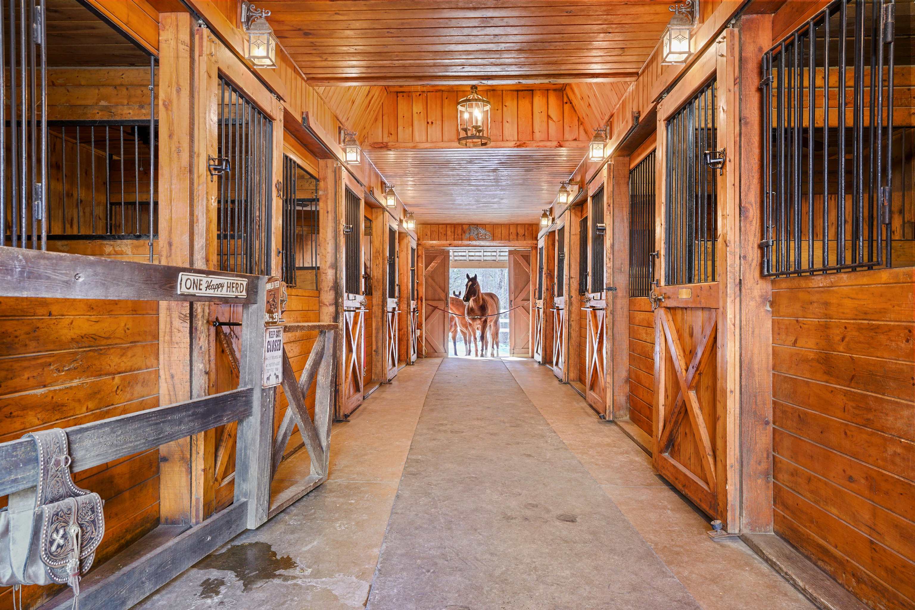 417 Candia Road Chester, NH 03036 - Photo 33 of 54