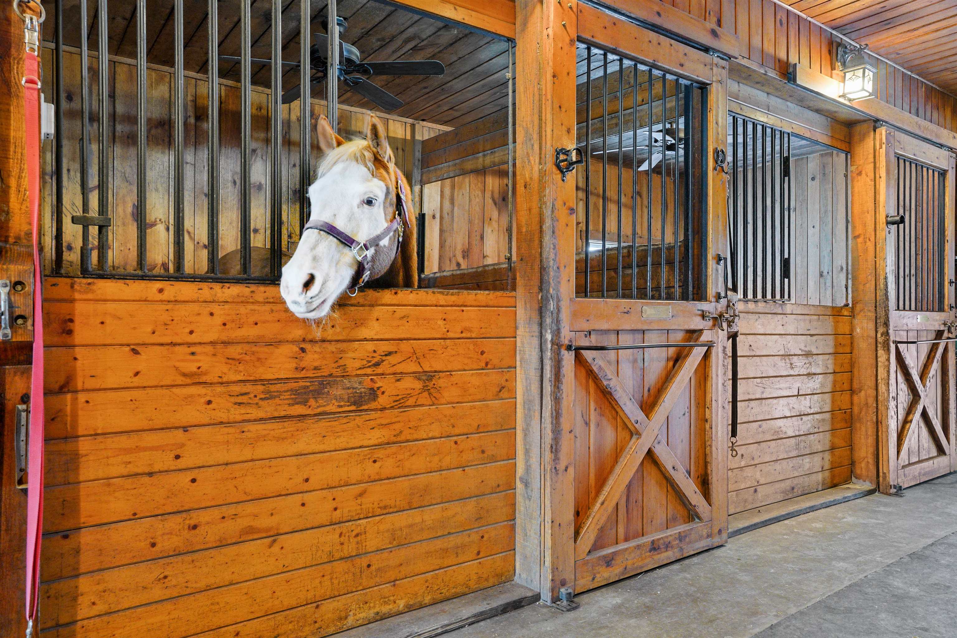 417 Candia Road Chester, NH 03036 - Photo 34 of 54