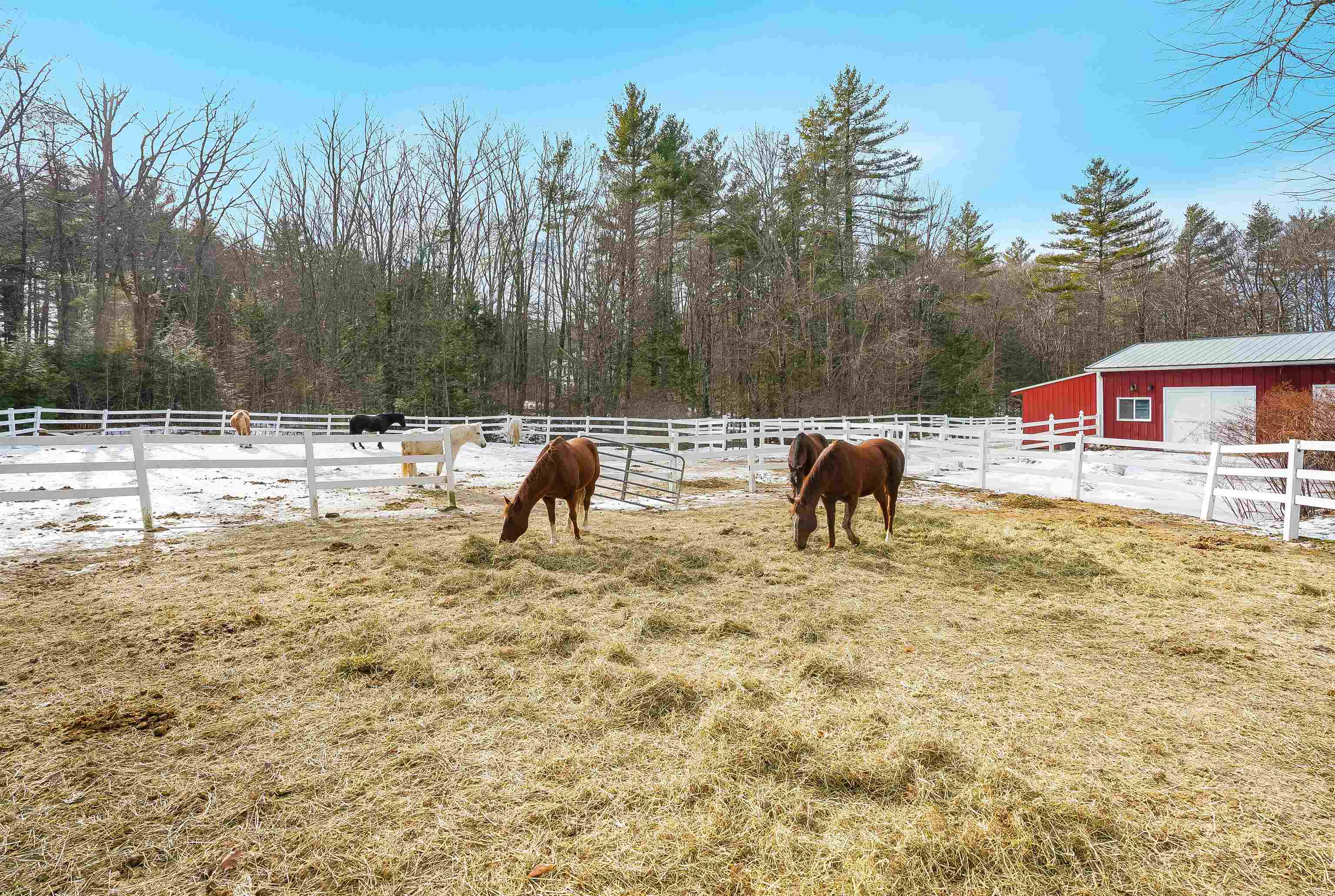 417 Candia Road Chester, NH 03036 - Photo 47 of 54