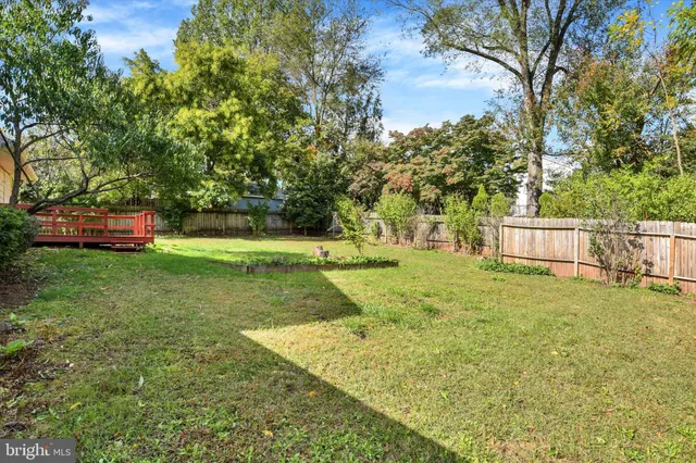 a view of yard with green space