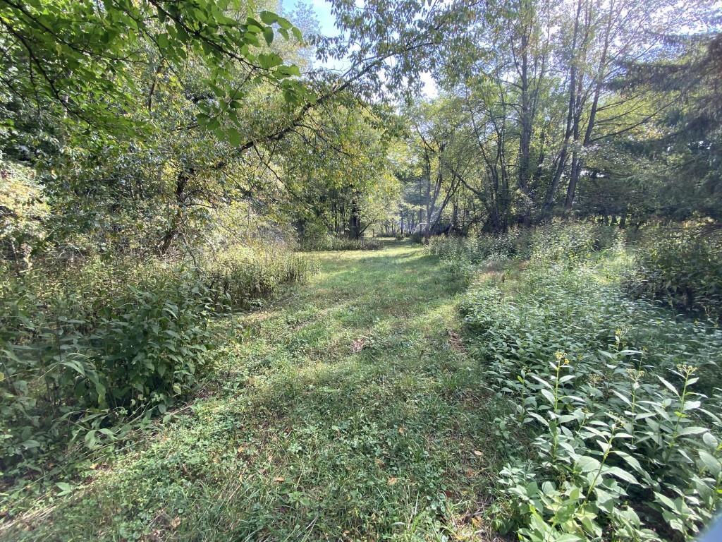 2871 West Forest Road Freeport, IL 61032 - Photo 15 of 68 a view of outdoor space and trees