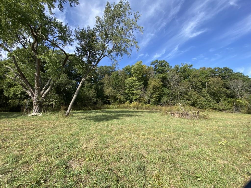 2871 West Forest Road Freeport, IL 61032 - Photo 16 of 68 a view of a yard with a tree