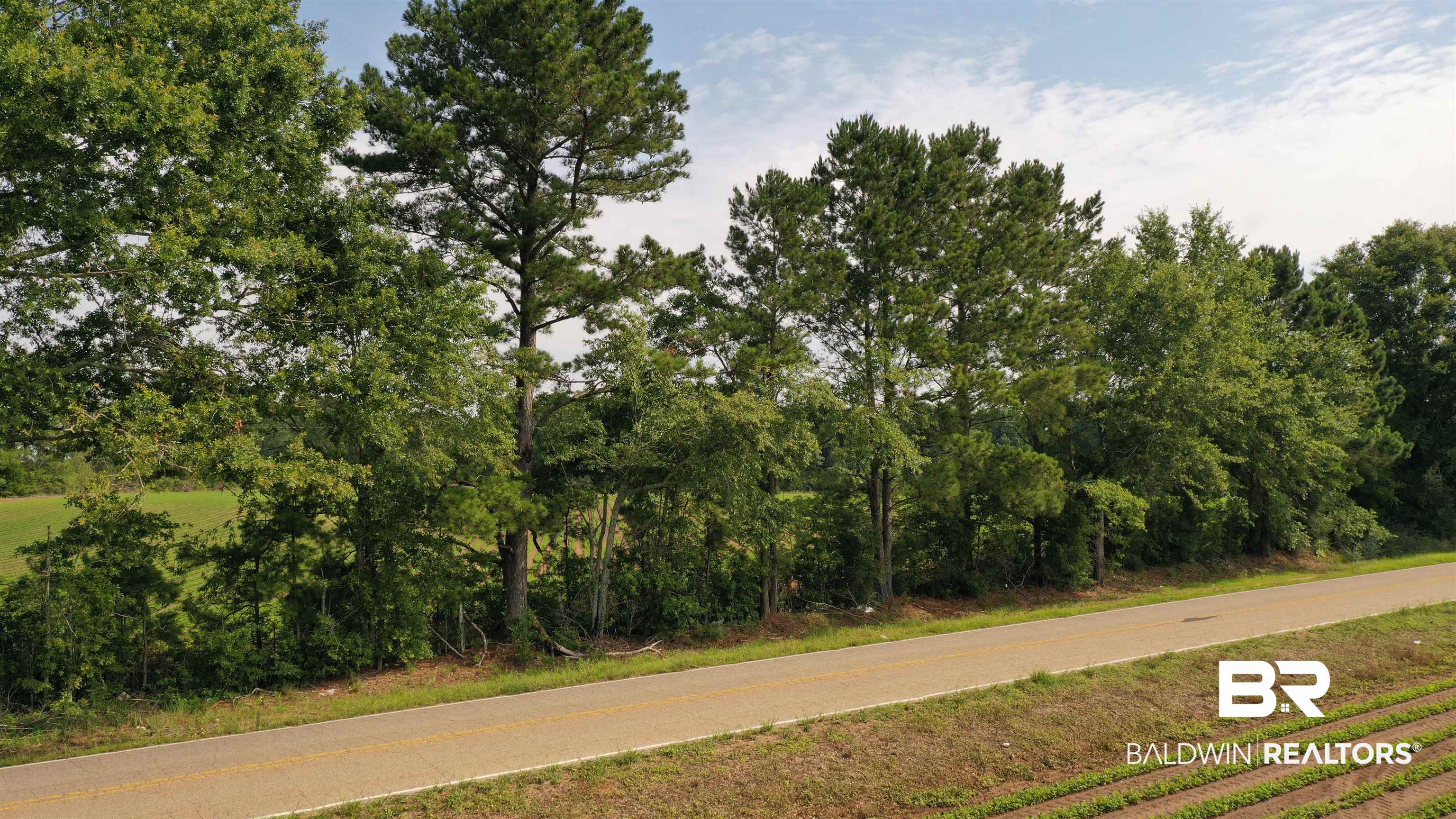 6 Travis Road Brewton, AL 36426 - Photo 5 of 22