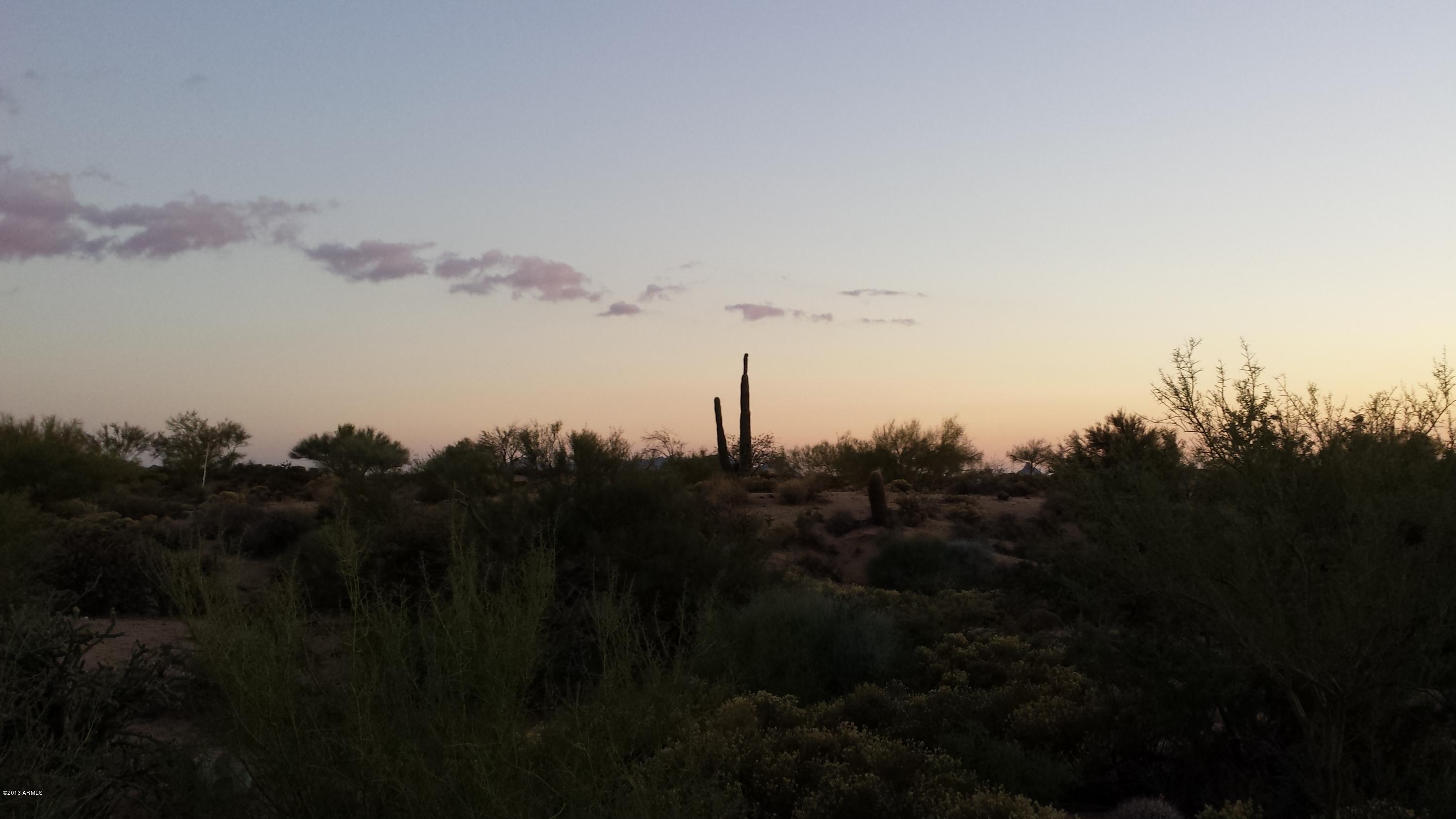 Evening S